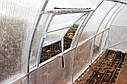 Теплиця Ельдорадо 4х10 під полікарбонат 8 мм стандарт (оцинкована труба 25х25 крок 1 метр), фото 3