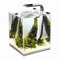 Aquael SHRIMP SET SMART белый укомплектованный аквариум для креветок, 10л