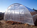 Теплиця Еко Топ 6х30 м Стандарт 10 мм, фото 2