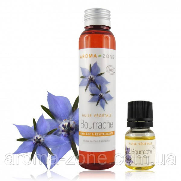 Рослинна олія Огірочника ( Бораго) Borago officinalis BIO 250 мл