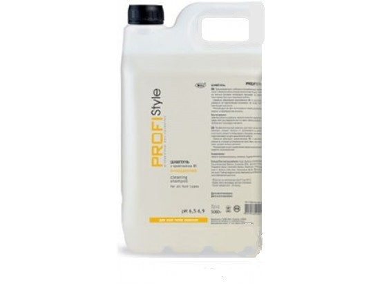 PROFISTYLE BASIC - Шампунь "Очищаючий" з провітаміном В5 5000 мл (12872), фото 1