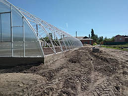 Теплица 10*40 пгт. Пулины Житомирская область Июль 2018 г 5