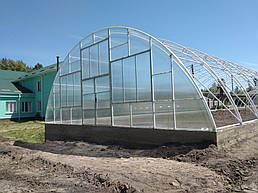 Теплица 10*40 пгт. Пулины Житомирская область Июль 2018 г 6