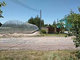 Теплица 10*40 пгт. Пулины Житомирская область Июль 2018 г 7