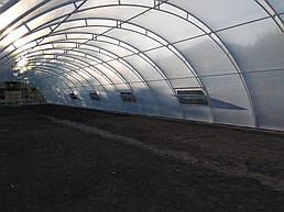 Теплица 10*40 пгт. Пулины Житомирская область Июль 2018 г 9