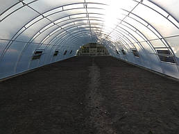 Теплица 10*40 пгт. Пулины Житомирская область Июль 2018 г 10