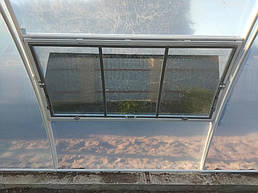 Теплица 10*40 пгт. Пулины Житомирская область Июль 2018 г 12