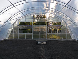 Теплица 10*40 пгт. Пулины Житомирская область Июль 2018 г 13