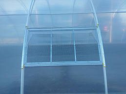 Теплица 10*40 пгт. Пулины Житомирская область Июль 2018 г 16