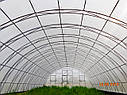 Аркові фермерські теплиці "Еко Топ" 8х14х3,5 м стандарт 4 мм, фото 3