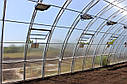 Аркові фермерські теплиці "Еко Топ" 8х12х3,5м преміум 8 мм, фото 5