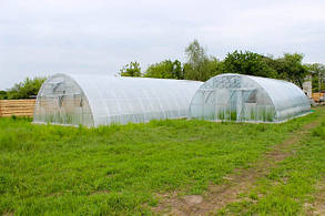 Аркові фермерські теплиці "Еко Топ" 8х12х3,5м преміум 6 мм