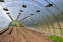 Аркові фермерські теплиці Еко Топ 8х14х3,5 преміум 6 мм, фото 5
