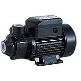 Насосна станція на базі насоса QB60/PKM60 HWD (EuroDelta) на баку 50л (гарантія 2 роки), фото 2