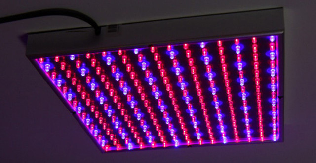 LEDы не палять листя LEDы лампа