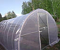 Теплиця під плівку "Термос 3х10" під один шар плівки, фото 4