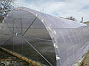 Теплиця під плівку "Термос 5х6" Maxi під подвійну плівку, фото 3