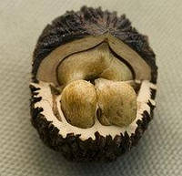 Чорний горіх