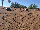 Бітумова черепиця Owens Corning, колір: Desert Tan, фото 4