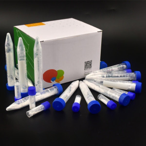 QuEChERS AOAC 2007.01 Набір для екстракції, сіль 6g MgSO4/ 1.5 g Na Acetate, пробірка 50 мл, уп. 50 шт.