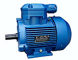 4ВР100L8 (1,5 кВт 750 об./хв) вибухозахищений електродвигун, фото 4