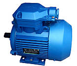 4ВР100L8 (1,5 кВт 750 об./хв) вибухозахищений електродвигун, фото 5