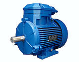 4ВР100L8 (1,5 кВт 750 об./хв) вибухозахищений електродвигун, фото 6