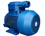 4ВР100L8 (1,5 кВт 750 об./хв) вибухозахищений електродвигун, фото 7