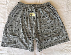 Чоловічі сімейні труси *Газетка* ТМ EZGI №14