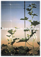 Сітка шпалерна для квітів 1м х 500м/яч.12,5*12,5 см, біла, Agreen (Угорщина)