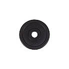 Блін млинець диск для штанги або гантелей 1,25 кг бітумний на штангу гантелі, фото 3