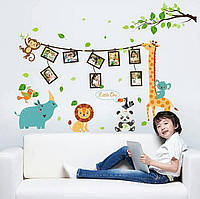 Вінілові наклейки з фоторамки на стіну в дитячу кімнату зі звірьми (лист 90 х 60 см) Б96