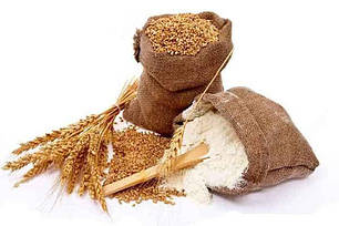 Визначення білості борошна