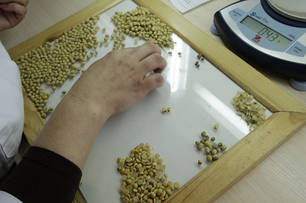 Допоміжне обладнання