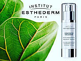 Сироватка для шкіри обличчя Concentre Cellulaire Клітинний концентрат Institut Esthederm,30ml, фото 2