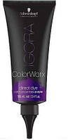 Igora Color Worx - барвник прямої дії фіолетовий