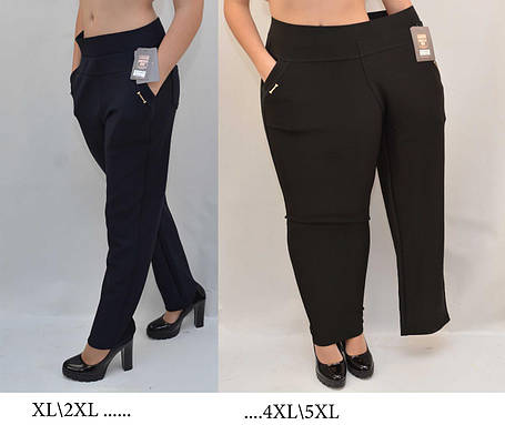 Штани жіночі для офісу у великих розмірах 2XL — 8 XL ( Польща), фото 1