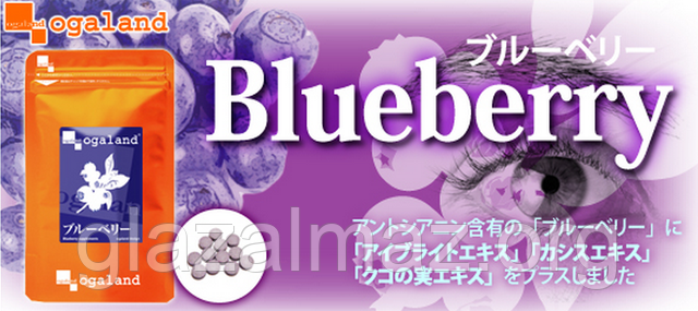 Ogaland Blueberry ягоды черной смородины