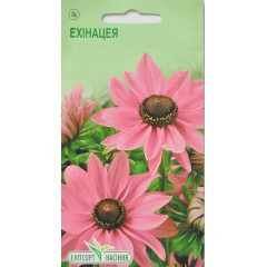 Насіння Ехінацеї пурпурової 0,2 г, фото 1