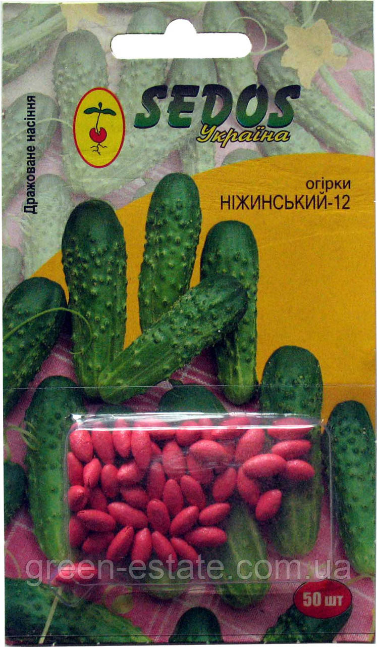 Насіння огірка Ніжинський