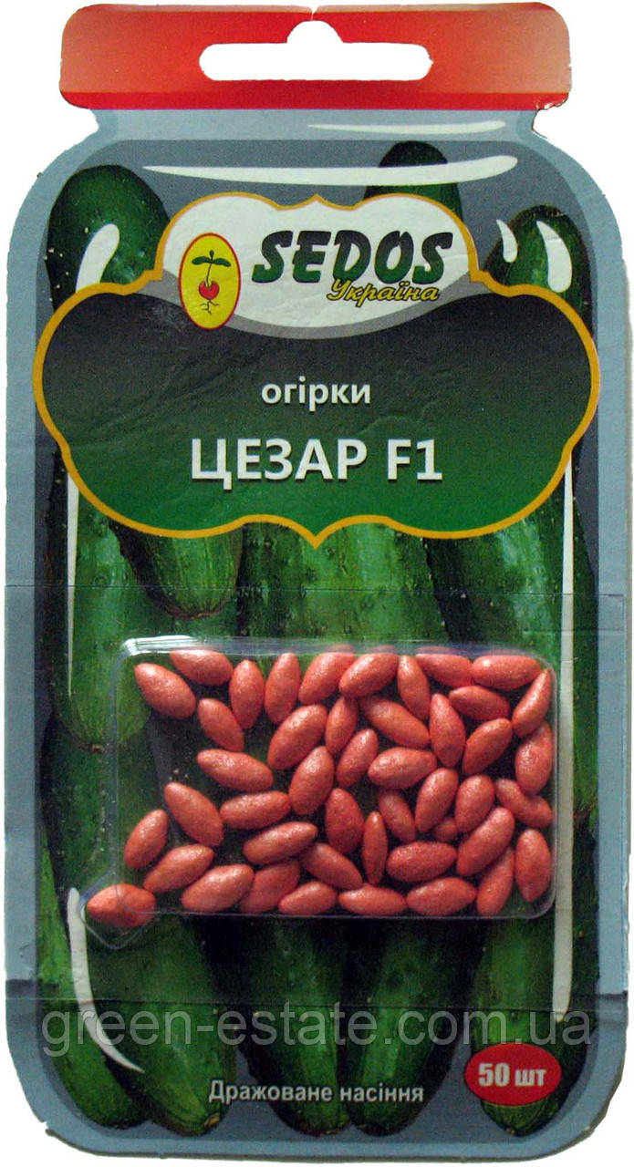 Насіння огірка Цезар F1