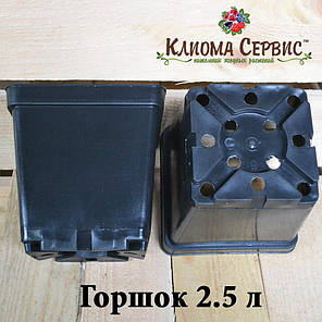 Квадратні стандартні горщики 2.5 л., d 15 h 16.5 Donkwiat, фото 2
