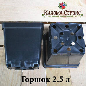 Квадратні стандартні горщики 2.5 л., d 16.5 h 15 Donkwiat, фото 2