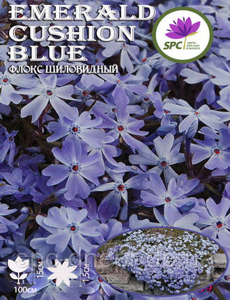 Флокс шилоподібний Emerald Cushion Blue, фото 1