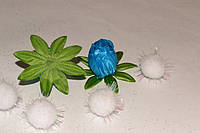 Бутон цветка магнолии бирюзовый