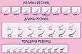 Ресницы Vivienne LASH SECRET, фото 8