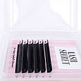 Вії Vivienne LASH SECRET mini, фото 4
