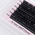 Вії Vivienne LASH SECRET mini, фото 5