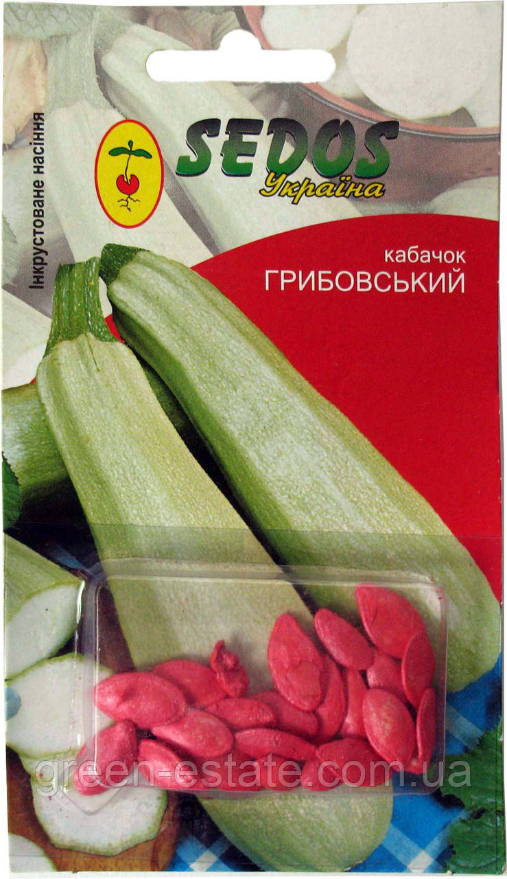 Кабачок Грибовський-37