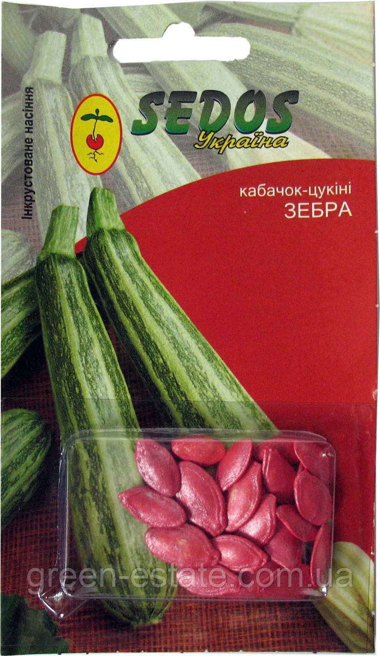 Кабачок-цукіні Зебра, фото 1
